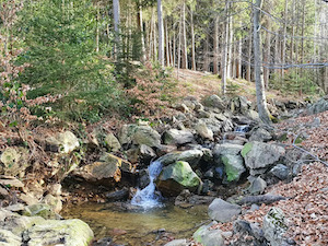 Le Thermalisme de Spa