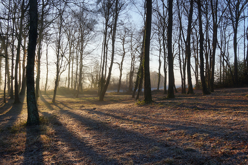 Moenebroek wandelroute