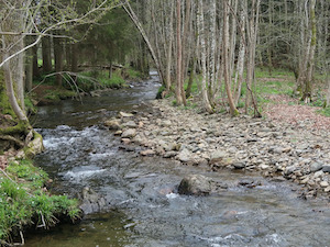 Rondom Moulin du Ruy en Borgoumont