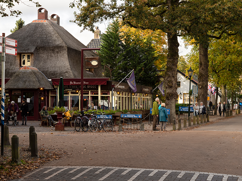 NS-wandeling De Vuursche