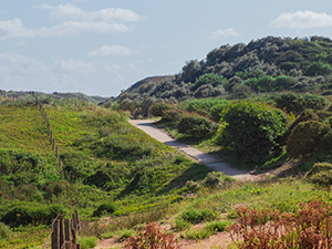 NS-wandeling Noord-Hollands Duinreservaat