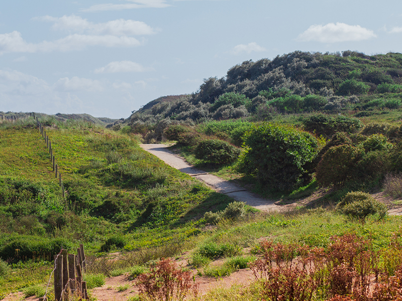NS-wandeling Noord-Hollands Duinreservaat