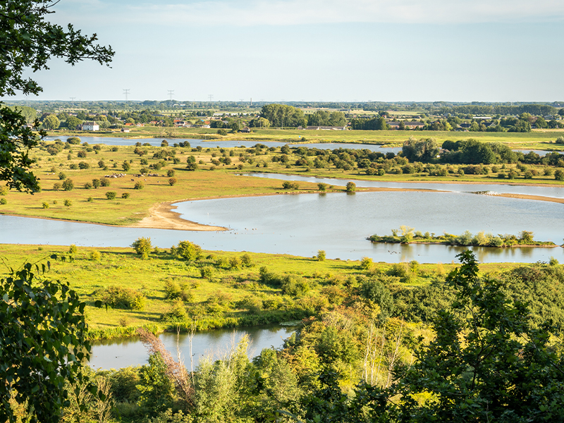 NS-wandeling Elsterberg