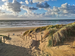 NS-wandeling Kennemerduinen