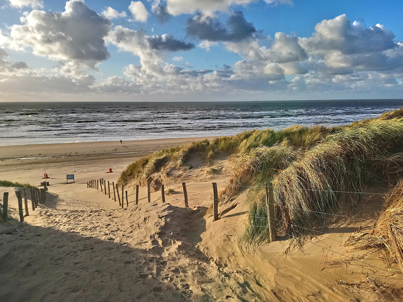 NS-wandeling Kennemerduinen