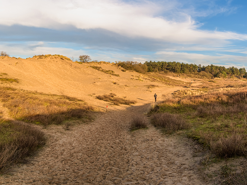 NS-wandeling Meijendel