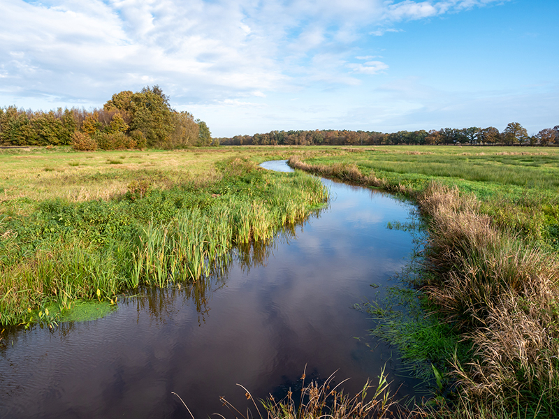 Overijsselse Buitenplaatsen