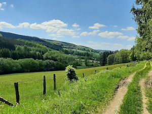 Promenade de Pouhon de Ruy