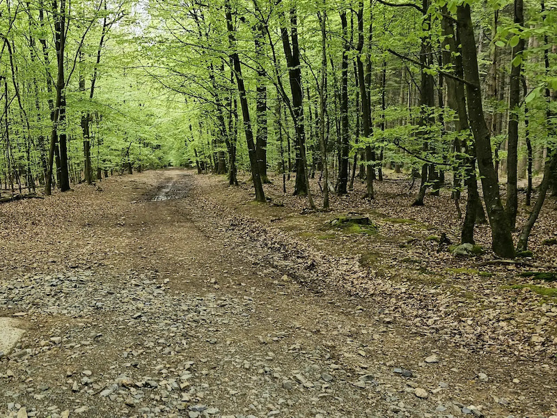 Promenade des artistes