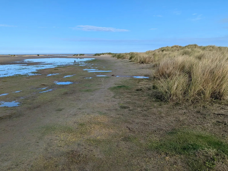 Door de duinen van Renesse