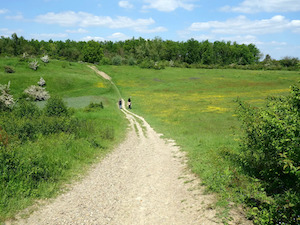 Rondwandeling Sint-Pietersberg bij Maastricht 10,8km (rood)