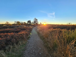 Les Caillebotis de Malchamps