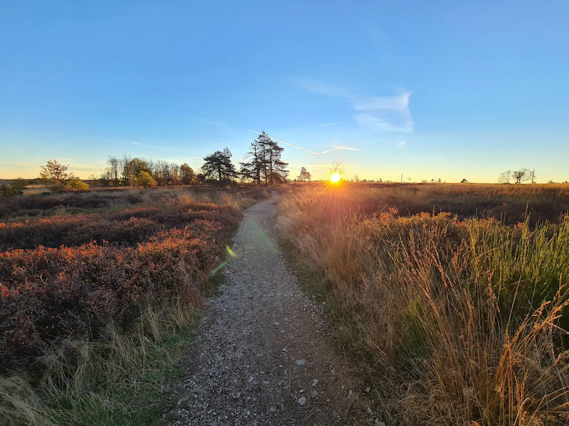 Les Caillebotis de Malchamps