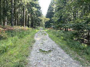 Water in al zijn facetten