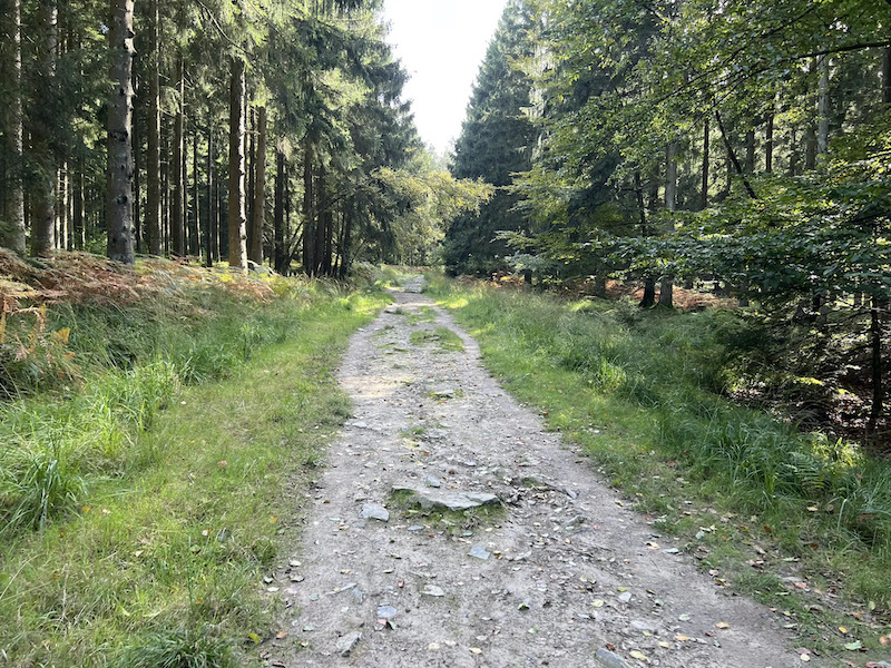 Water in al zijn facetten