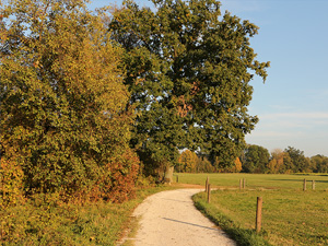 Trage Wegenwandeling