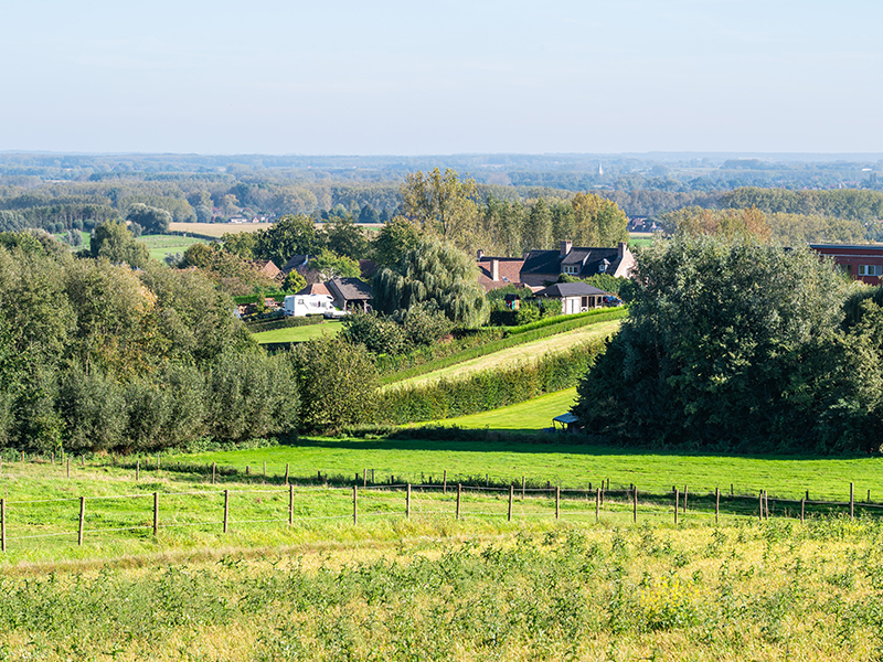 Tussen Helix en Bosberg wandelroute