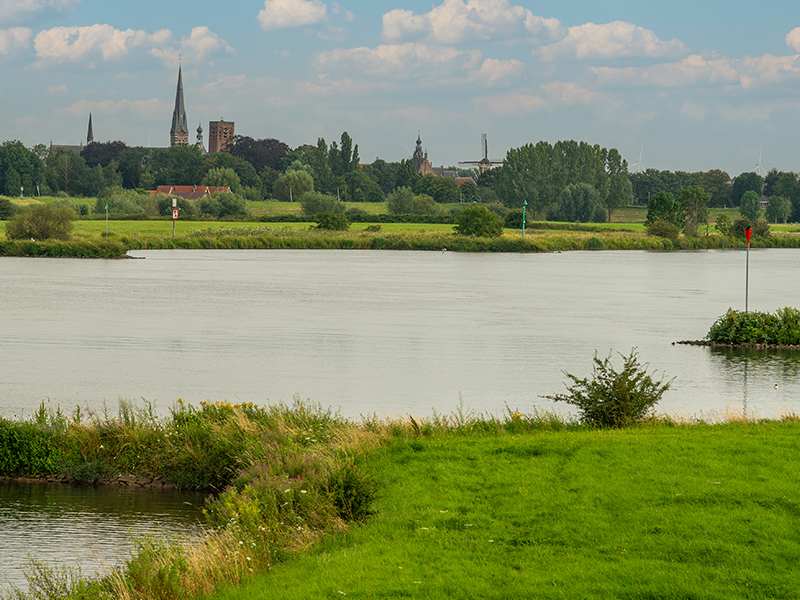 NS-Wandeling - Tussen Lek en Linge