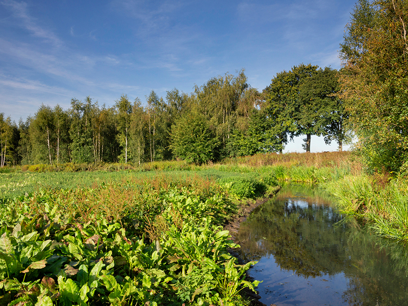 Vallei van de Itterbeek