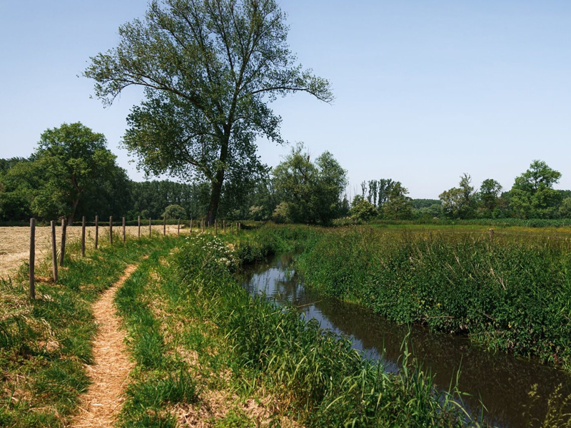 Van Wieze naar Denderbelle wandelroute