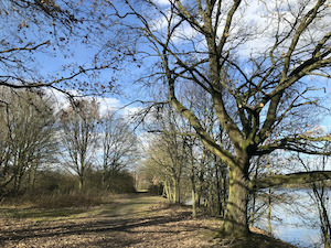 Waterwandeling Battenbroek