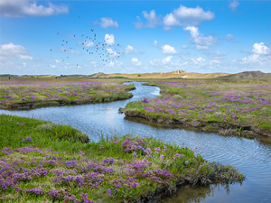 VRT PodWalks: Zwin Natuur Park