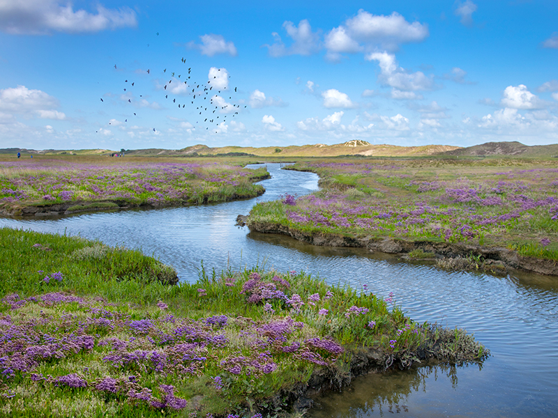 VRT PodWalks: Zwin Natuur Park